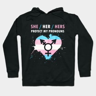 Protect My Pronouns She/Her/Hers For LGBT Hoodie